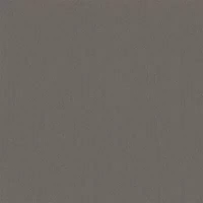 Papel pintado Liso Zephira ZP54409