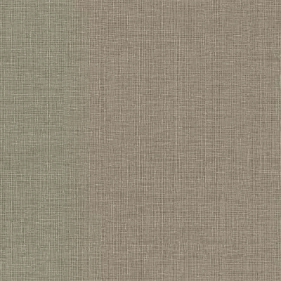 Papel pintado Liso Zephira ZP54803