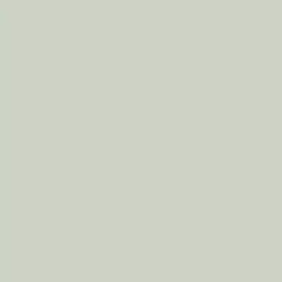 Papel pintado Liso Reflect RE25106