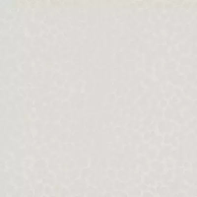 Papel pintado Animal print Philipp Plein 6380041