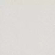 Papel pintado Animal print Philipp Plein 6380041