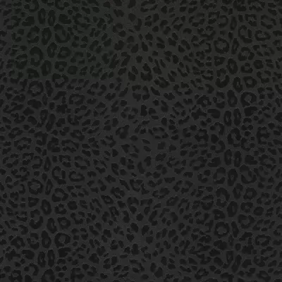 Papel pintado Animal print Philipp Plein 6380042