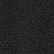 Papel pintado Animal print Philipp Plein 6380042