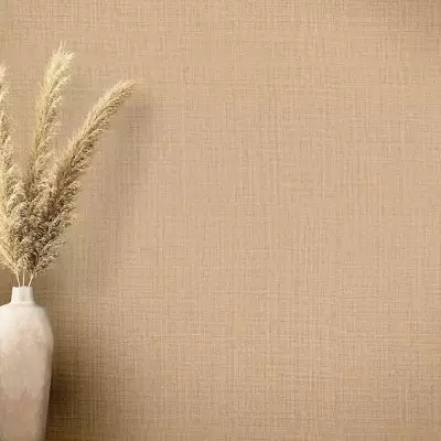 Papel pintado Liso Philipp Plein 6380047