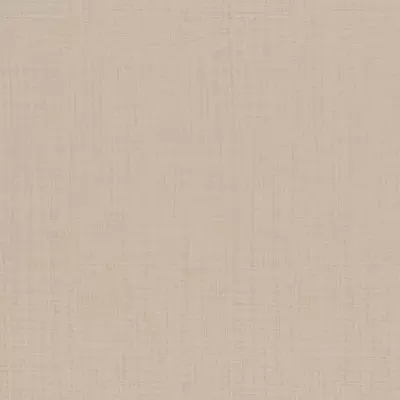 Papel pintado Liso Philipp Plein 6380054