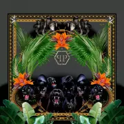 Mural Panteras Philipp Plein 6380063