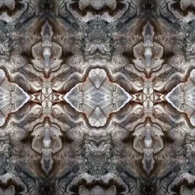 Mural Efecto piedra Philipp Plein 6380078