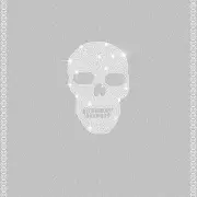 Mural Calavera Philipp Plein 6380079