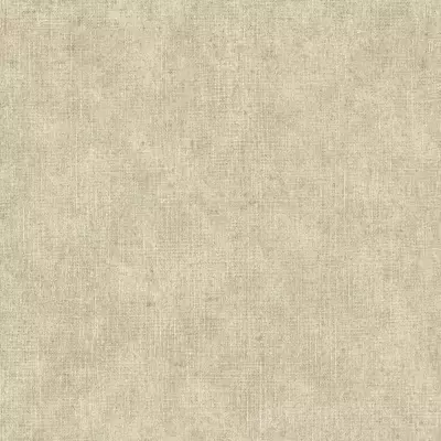 Papel pintado Liso Perla NHW1006