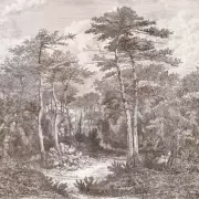 Mural Bosque Elie Saab 2 Z34965 | Iberostil