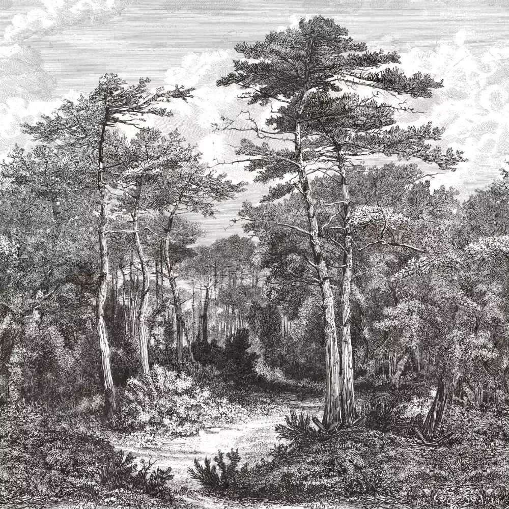 Mural Bosque Elie Saab 2 Z34968